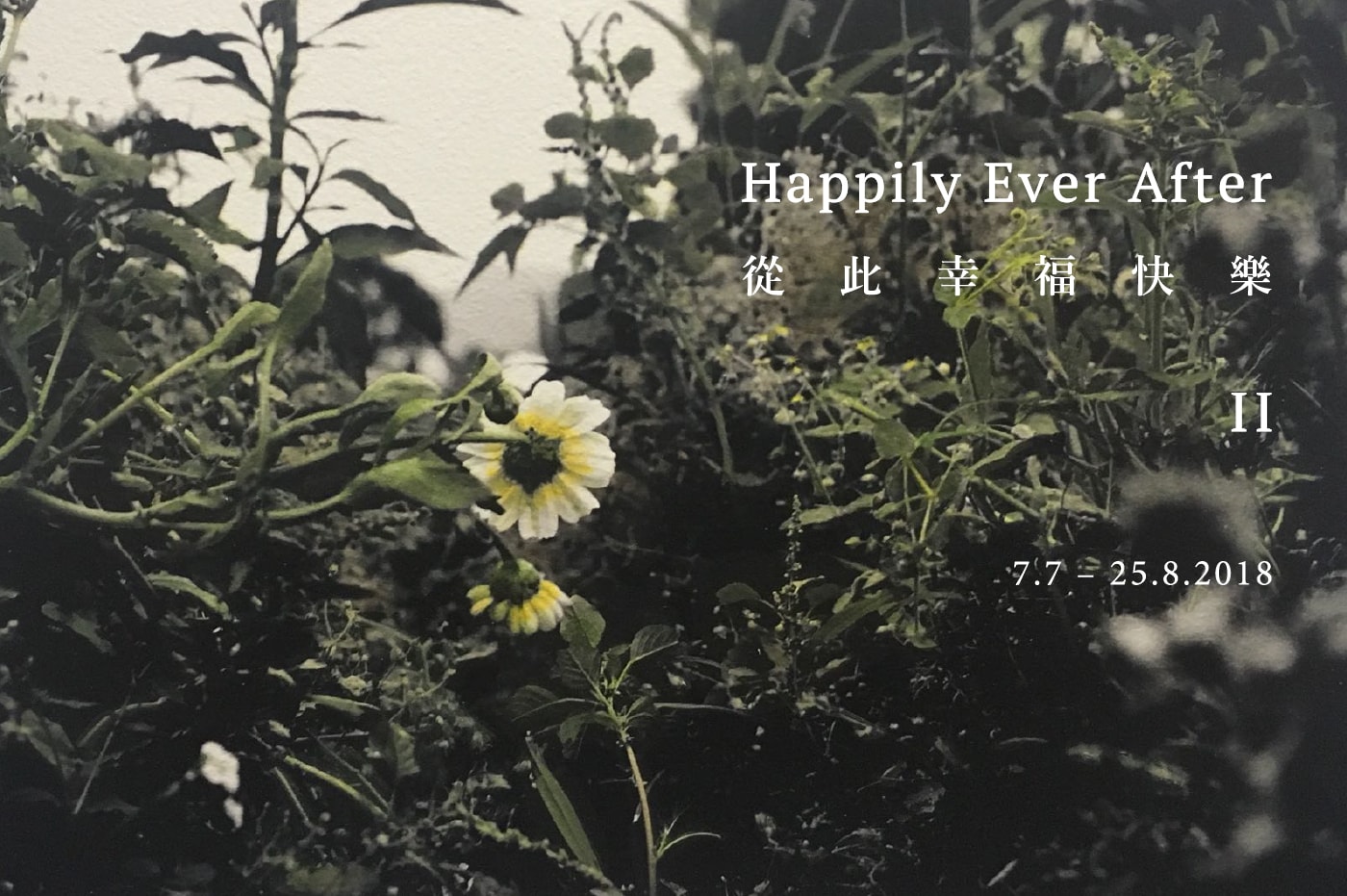 Happily Ever After II – a summer group exhibition of recent art graduates