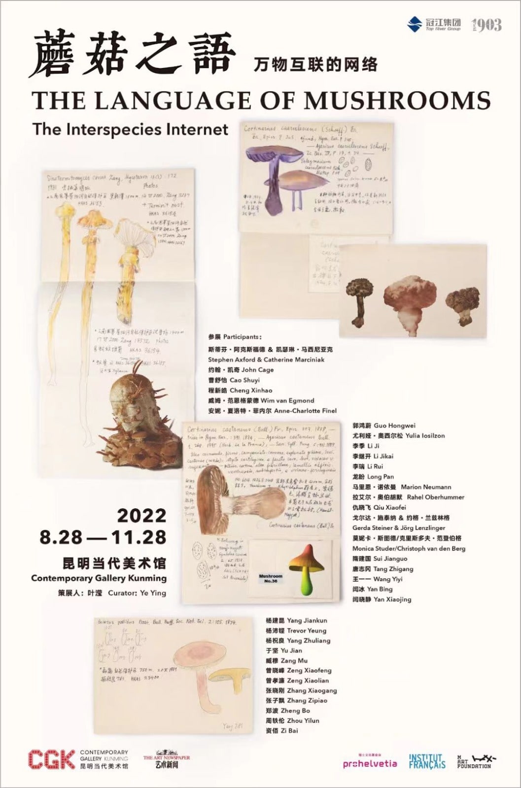 楊沛鏗參與昆明當代美術館群展”蘑菇之語”