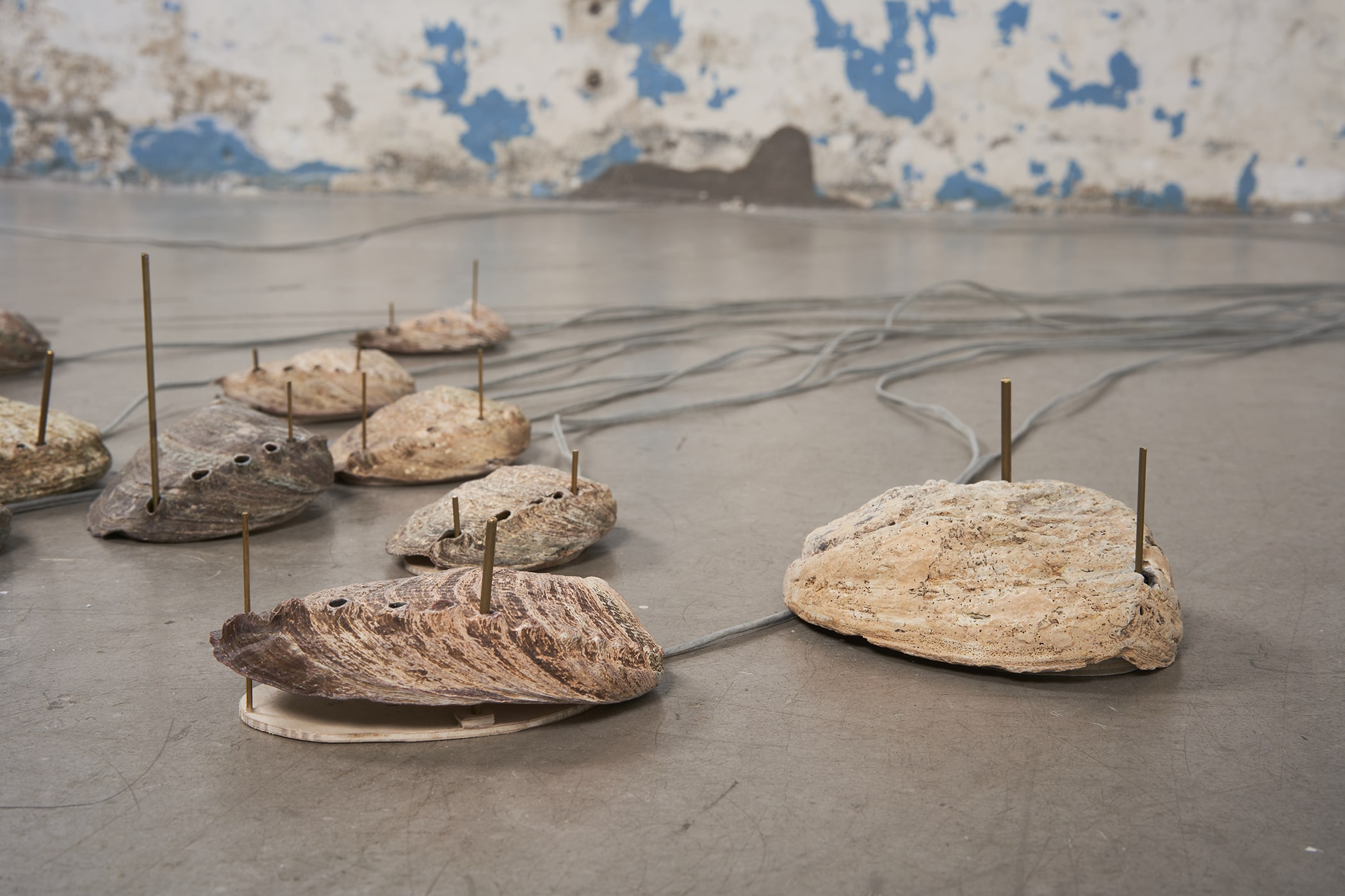 蘇詠寶及何兆南的作品呈現於Para Site藝術空間的 “瞬息⋯⋯signals：瞬息⋯⋯風中序”