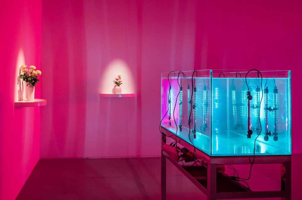 “Noire Lumière”, HOW Art Museum, Shanghai, China