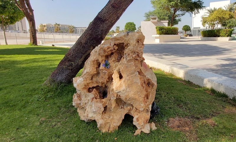 “Park Projects”, Jameel Arts Centre, Dubai, UAE