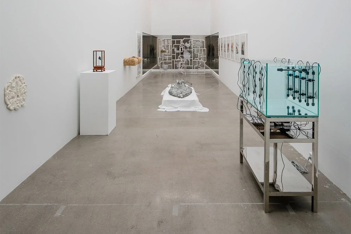 “An Opera for Animals”, Para Site, Hong Kong and Rockbund Art Museum, Shanghai, China