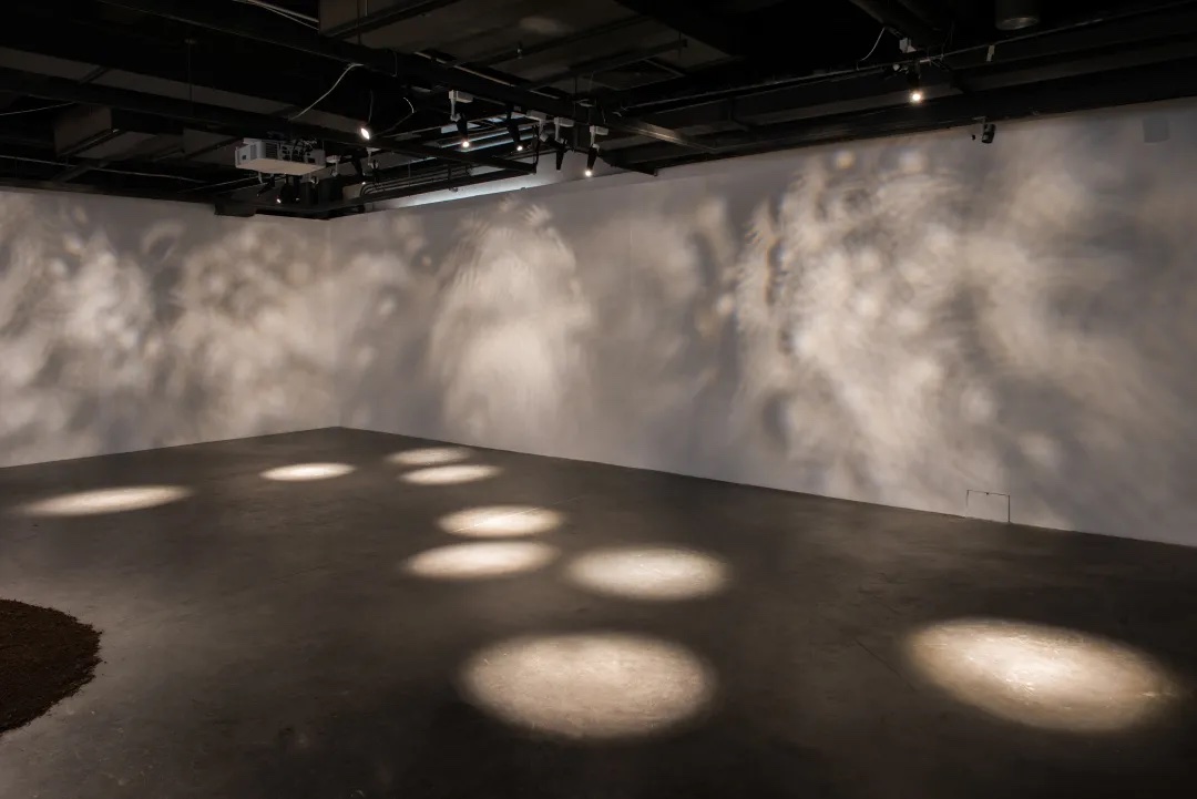 “OCAT Biennale-Resonances of One Hundred Things”, OCAT Shenzhen, Shenzhen, China