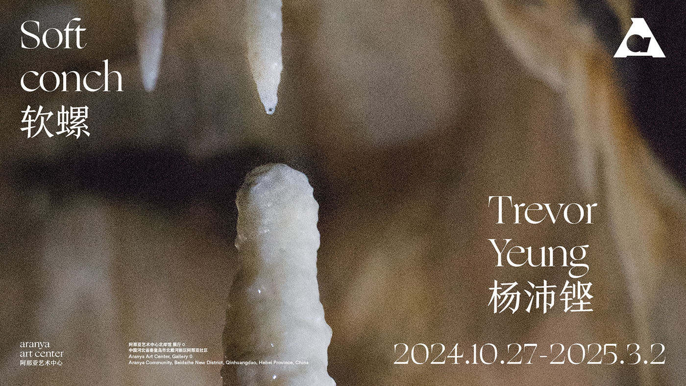 Trevor Yeung’s solo exhibition “Soft conch” at Aranya Art Center