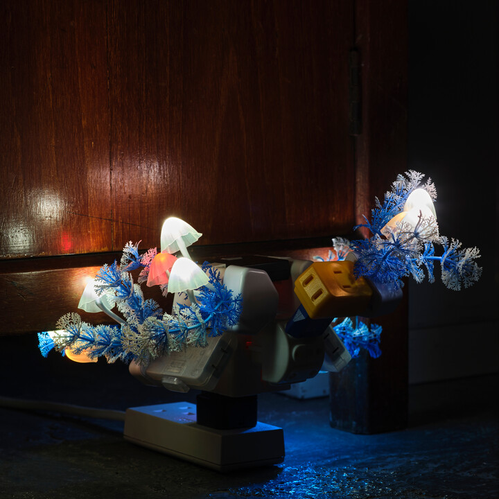 Trevor Yeung’s solo exhibition at Kestner Gesellschaft, Germany