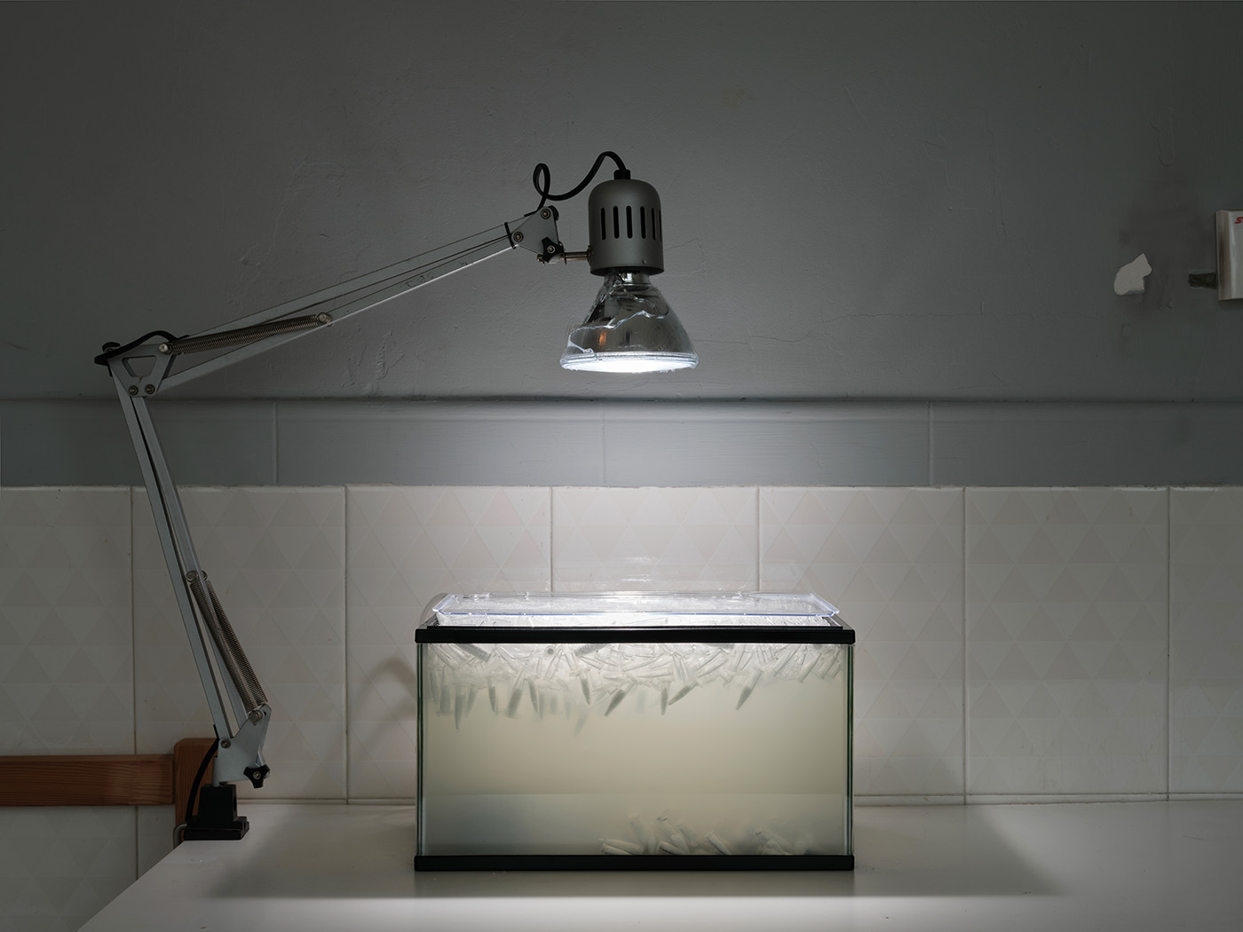 Trevor Yeung: swallowing rumination, gracefully