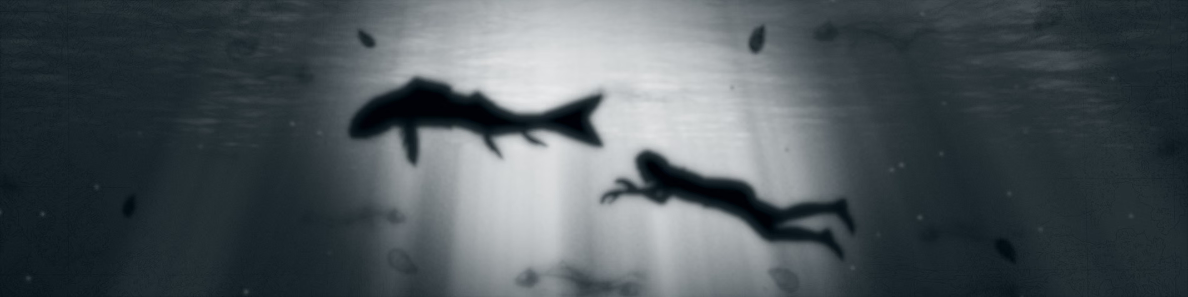 Lap-See Lam solo exhibition