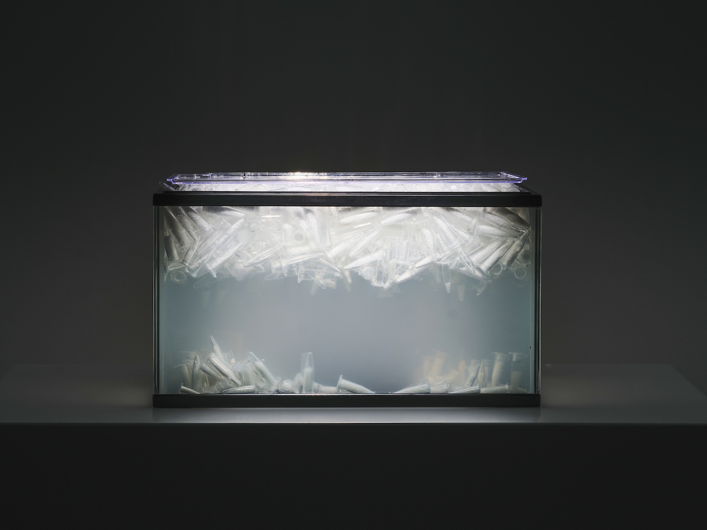 楊沛鏗：優雅地吞回自己的反芻