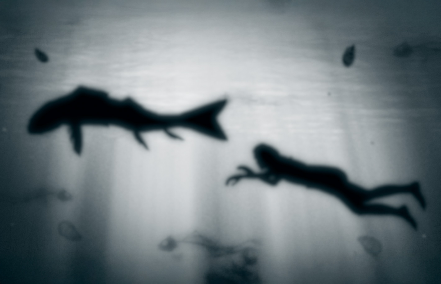 Lap-See Lam: Bamboo Palace, Revisited