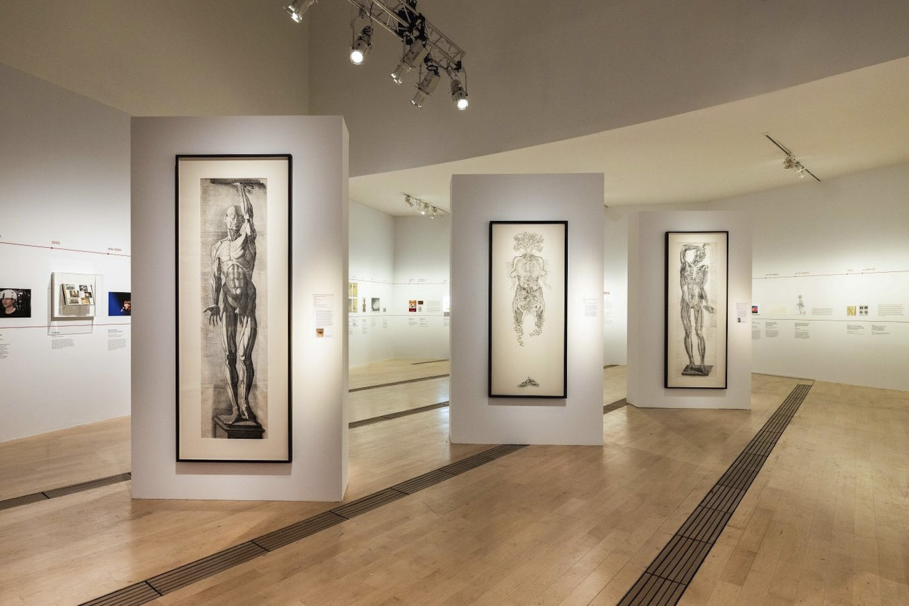 Angela Su’s work on view in “Flesh and Bones: The Art of Anatomy” at ArtScience Museum