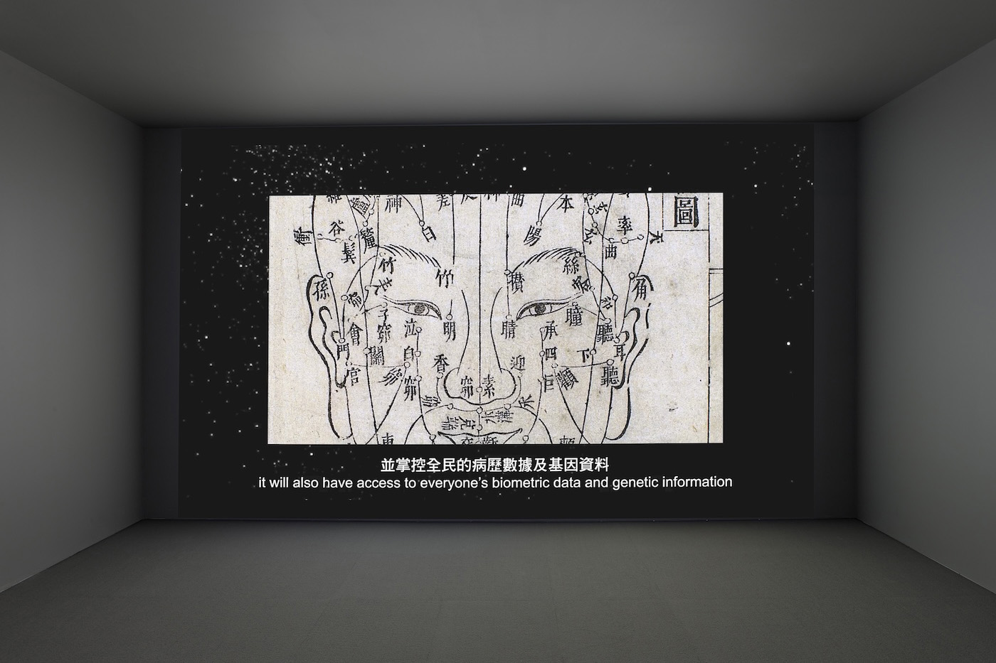 「Cosmos Falling」,卡本特視覺藝術中心,哈佛大學,劍橋,美國
