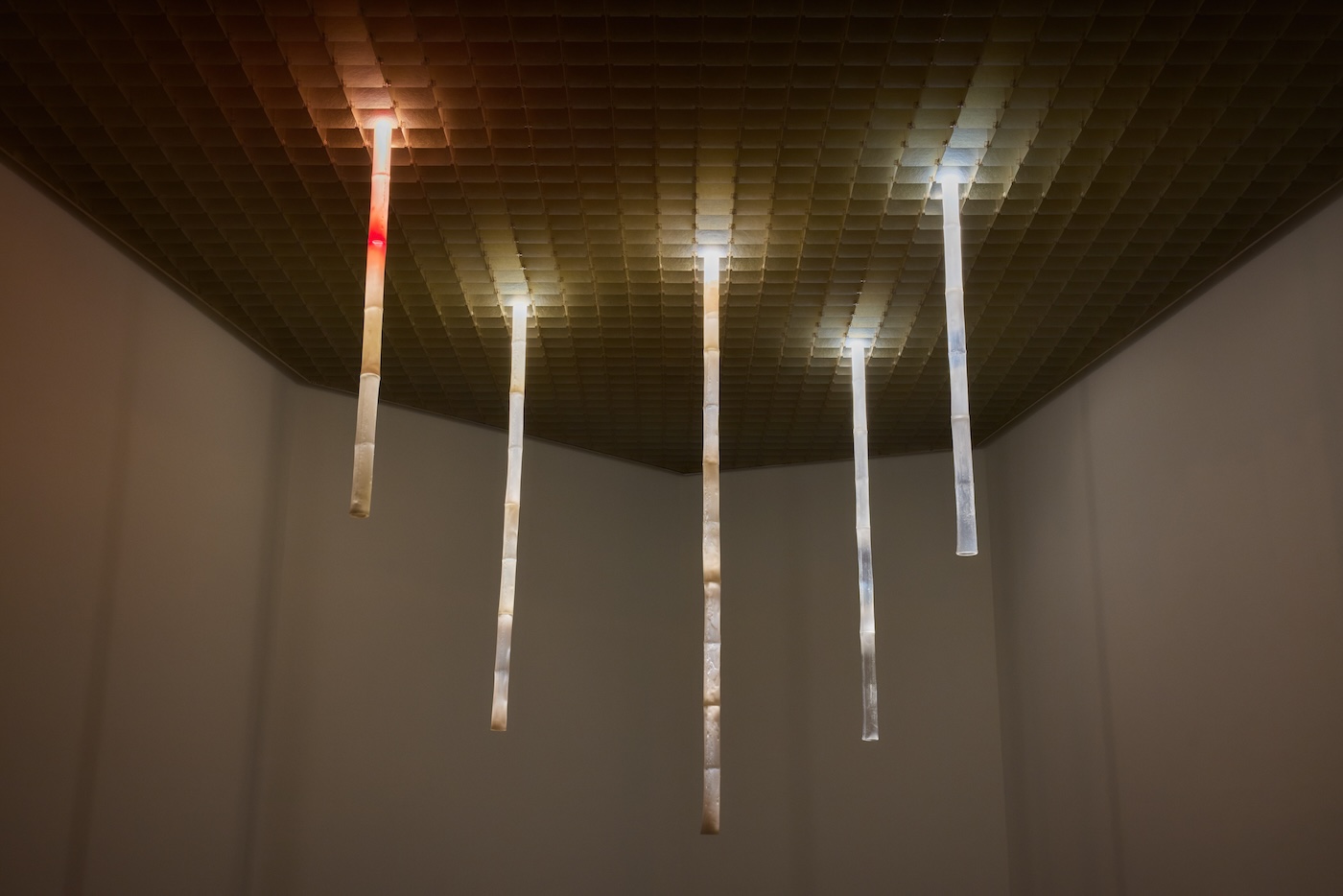Lap-See Lam’s solo exhibition “Lap-See Lam: Ombres” at Henie Onstad Kunstsenter, Oslo