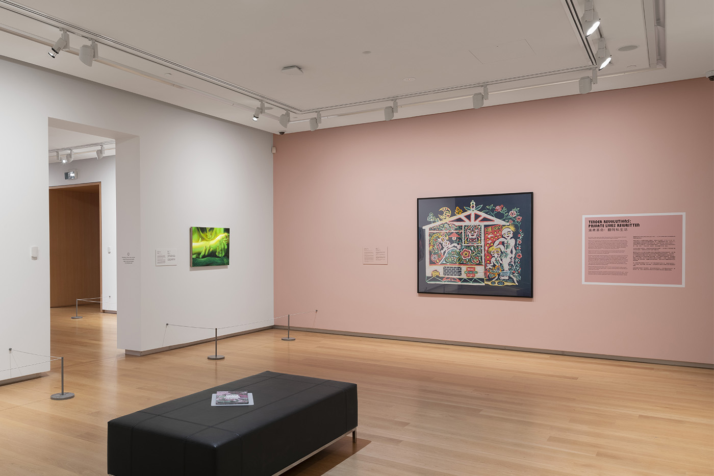 “Forever Tomorrow: Chinese Art Now”, Auckland Art Gallery, Auckland, New Zealand