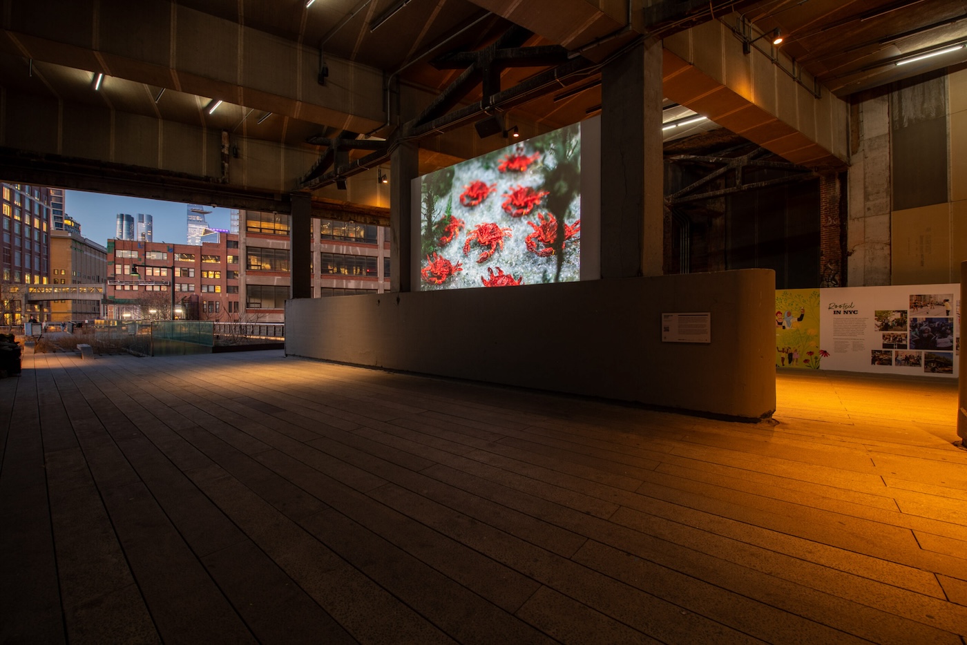 “ANIMISM – ZHANG XU Zhan”, High Line Art Channel, New York, USA